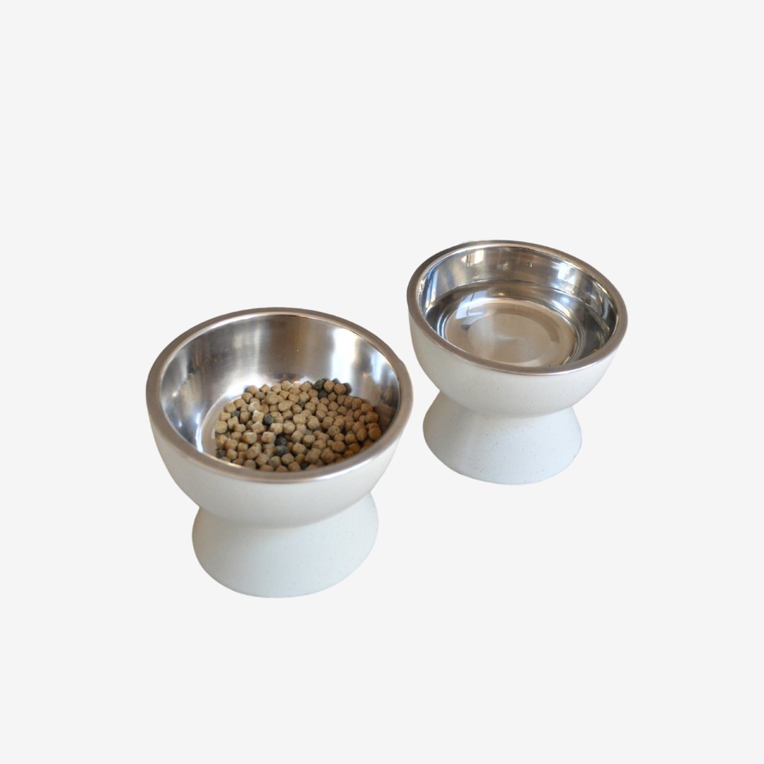Elevated Ceramic Bowl Set - E&P Pets